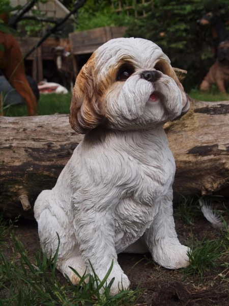 Shih Tzu sitzend naturgetreu 30cm Wetterfest