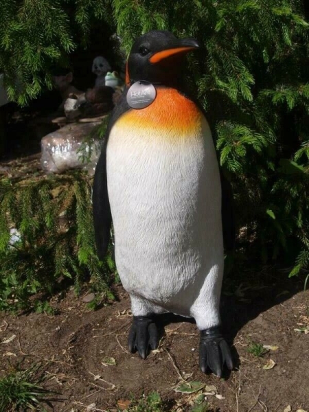 PINGUIN Deko Figur KAISERPINGUIN lebensgroß 61cm Garten Figur Hotant
