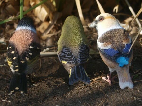 Vögel Deko Figur Zeisig Grünfink Kernbeißer lebensgroß wetterfest 3er Set