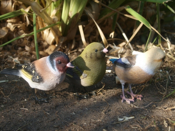 Vögel Deko Figur Zeisig Grünfink Kernbeißer lebensgroß wetterfest 3er Set