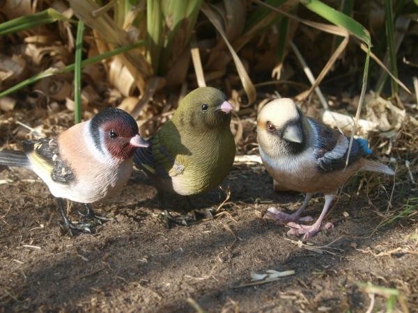 Vögel Deko Figur Zeisig Grünfink Kernbeißer lebensgroß wetterfest 3er Set