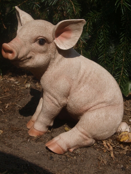 Schwein Ferkel Deko Figur lebensecht wetterfest Gartenfigur NEU S HOTANT