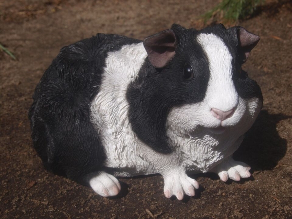 Meerschweinchen Deko Figur Rosette lebensgroß Hotant