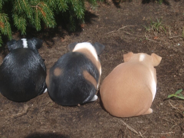 Meerschweinchen Deko Figur Glatthaar lebensgroß Hotant