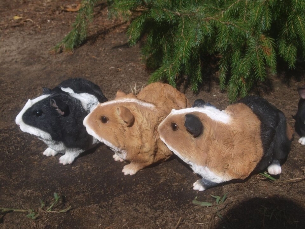 Meerschweinchen Deko Figur Rosette lebensgroß Hotant