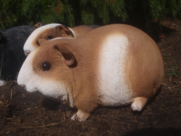 Meerschweinchen Deko Figur Glatthaar lebensgroß Hotant