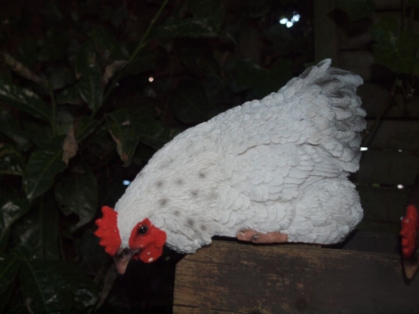 Deko Huhn Kantenhocker 3 verschiedene Farben Esschert