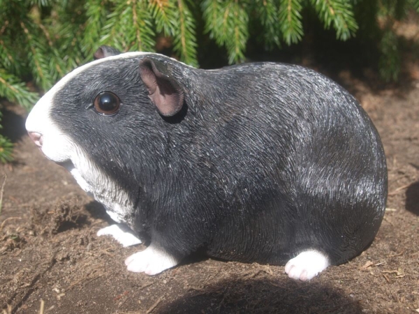 Meerschweinchen Deko Figur Glatthaar lebensgroß Hotant
